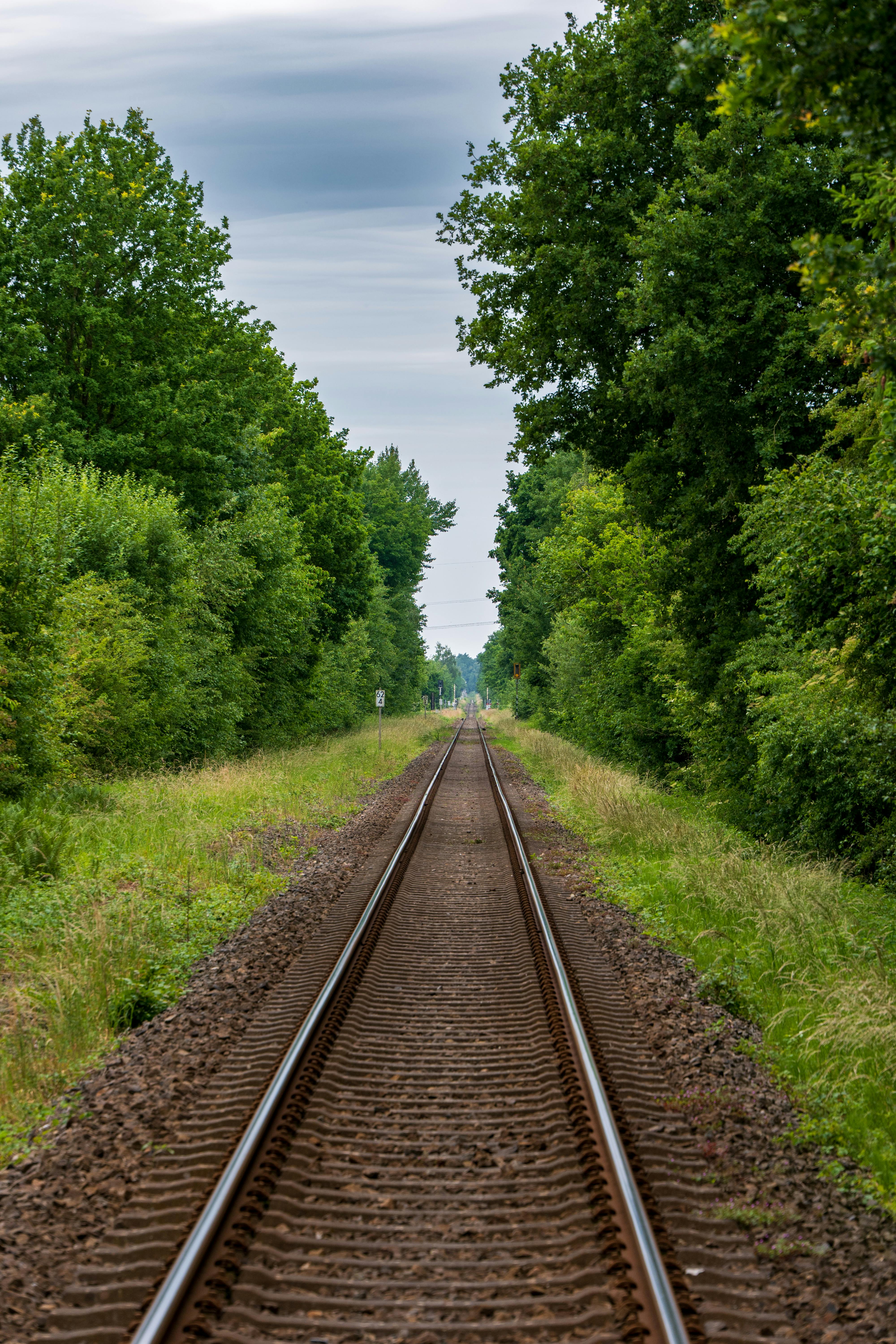 Cost-Effective Logistics Solutions